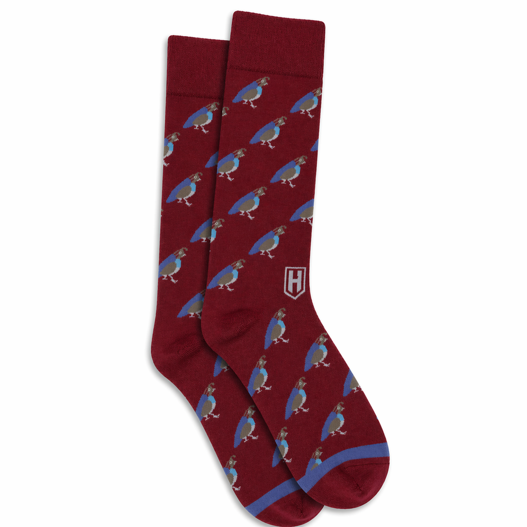 Rambler Socks: Quail 2