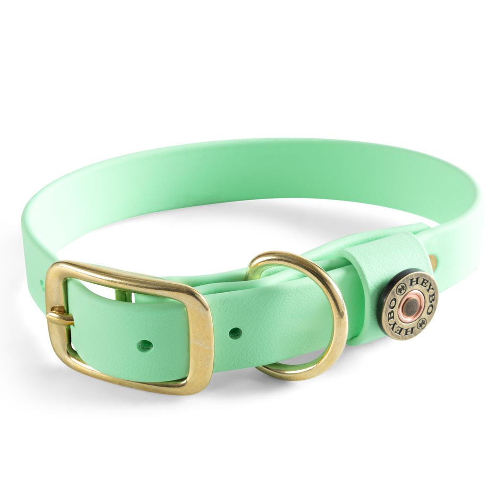 mint green dog collar