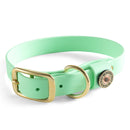 Biothane Dog Collar - Mint