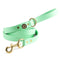 Biothane Dog Leash - Mint csp-variant-img