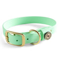 Biothane Dog Collar - Mint