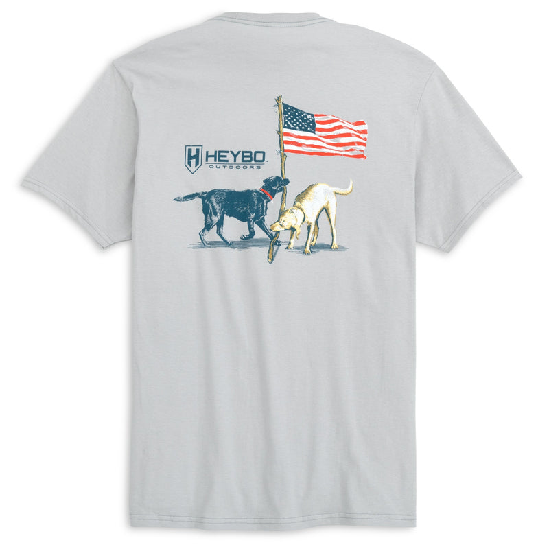 Labs & Flags