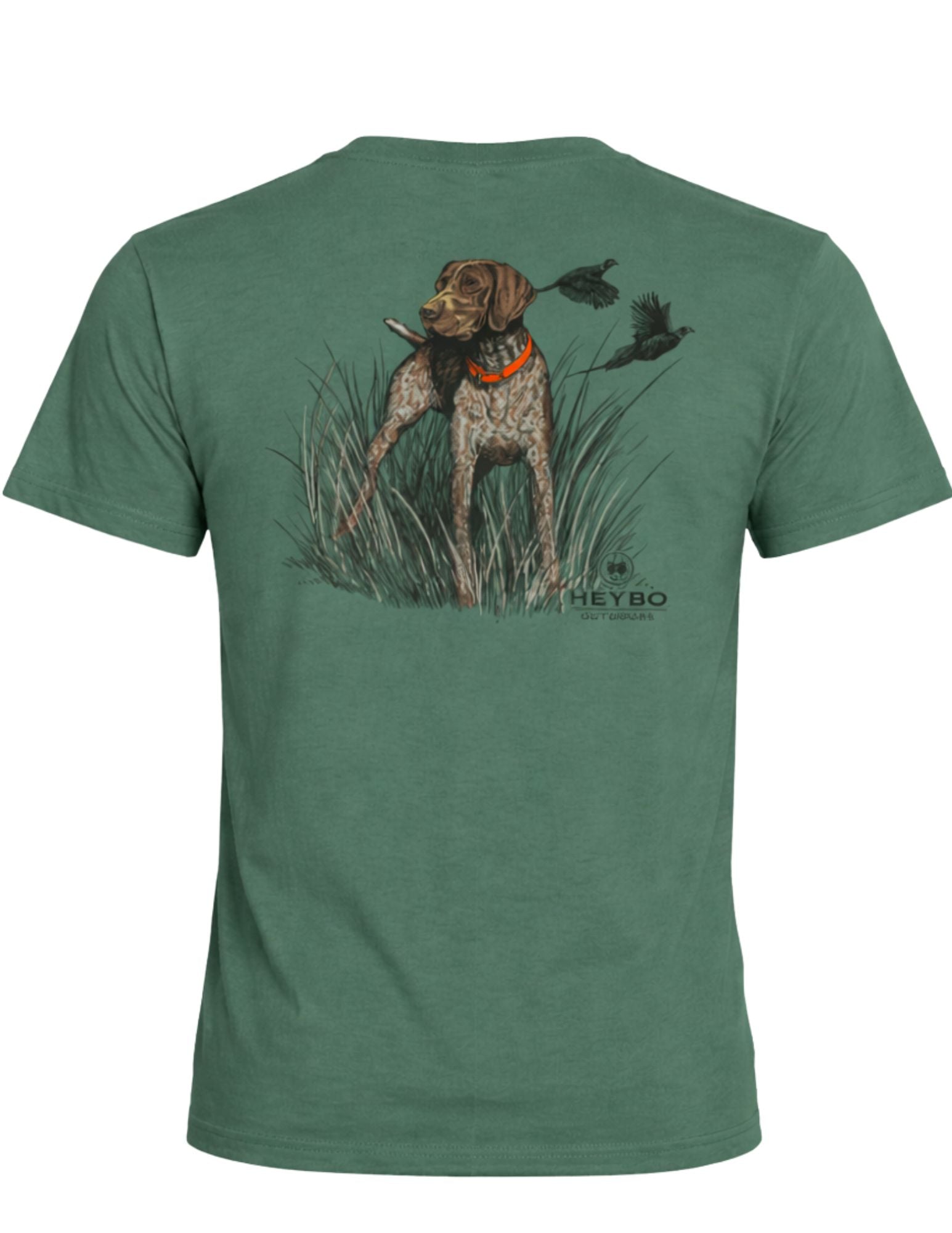 Pointer In Field