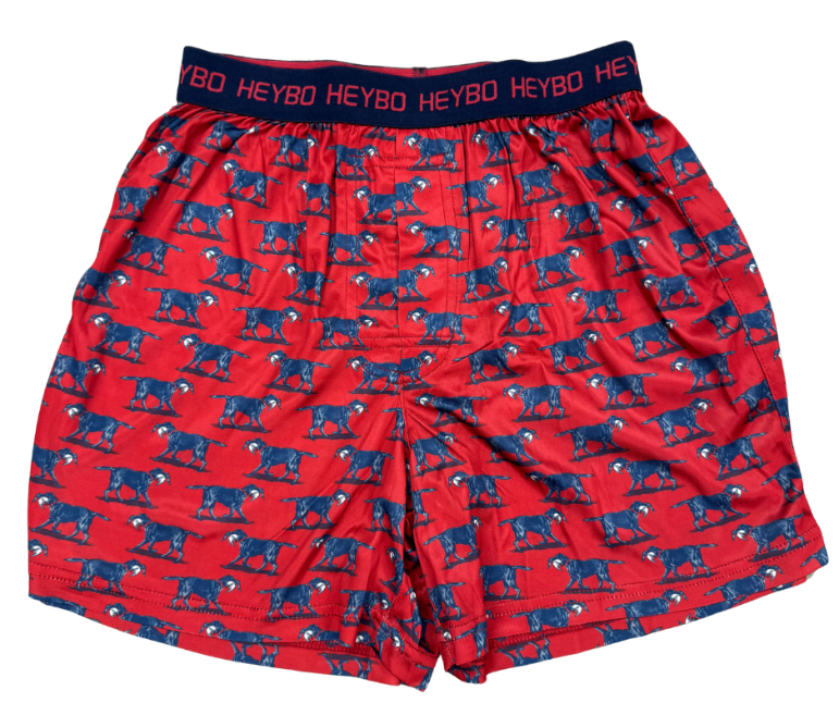 Performance Boxers: Lab with Mallard
